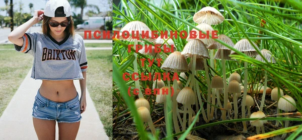 мет Абаза