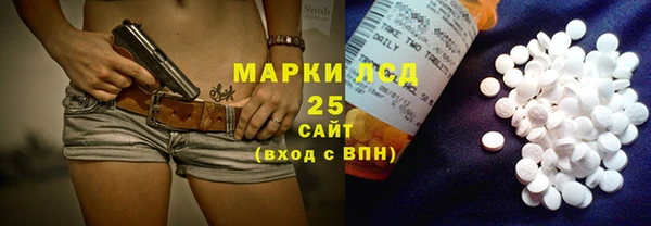 индика Абинск