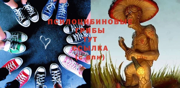 индика Абинск
