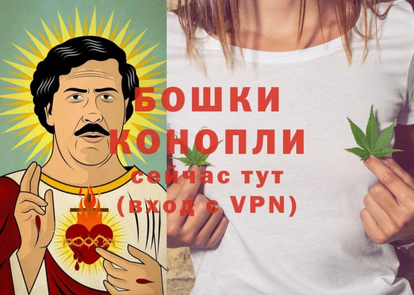 ешки Алексин
