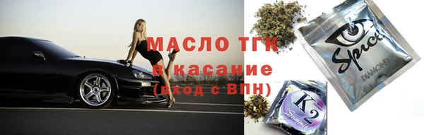 индика Абинск
