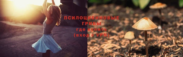 твердый Алзамай