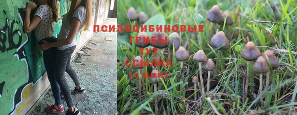 PSILOCYBIN Алексеевка