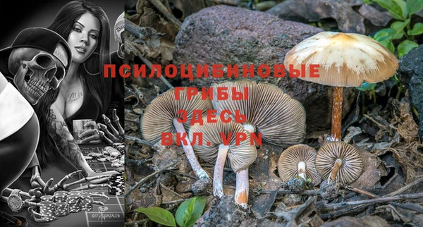 индика Абинск