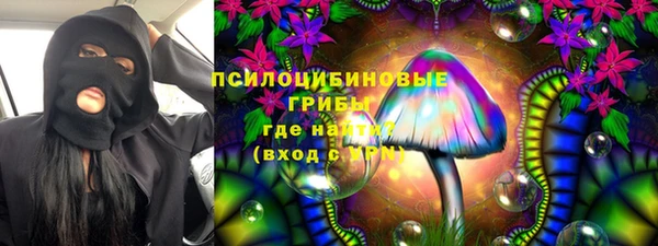 индика Абинск