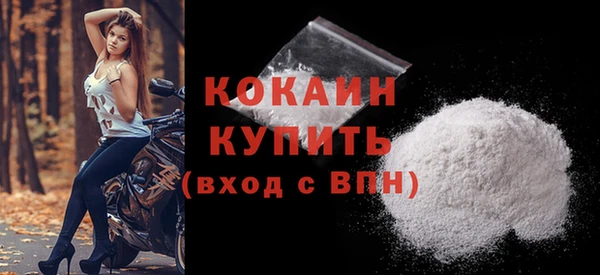 индика Абинск