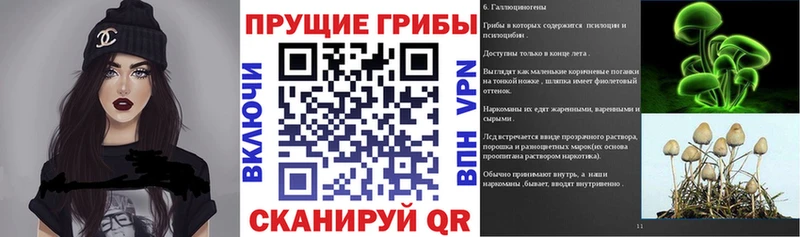 сайты даркнета наркотические препараты  Красноармейск  Псилоцибиновые грибы ЛСД 